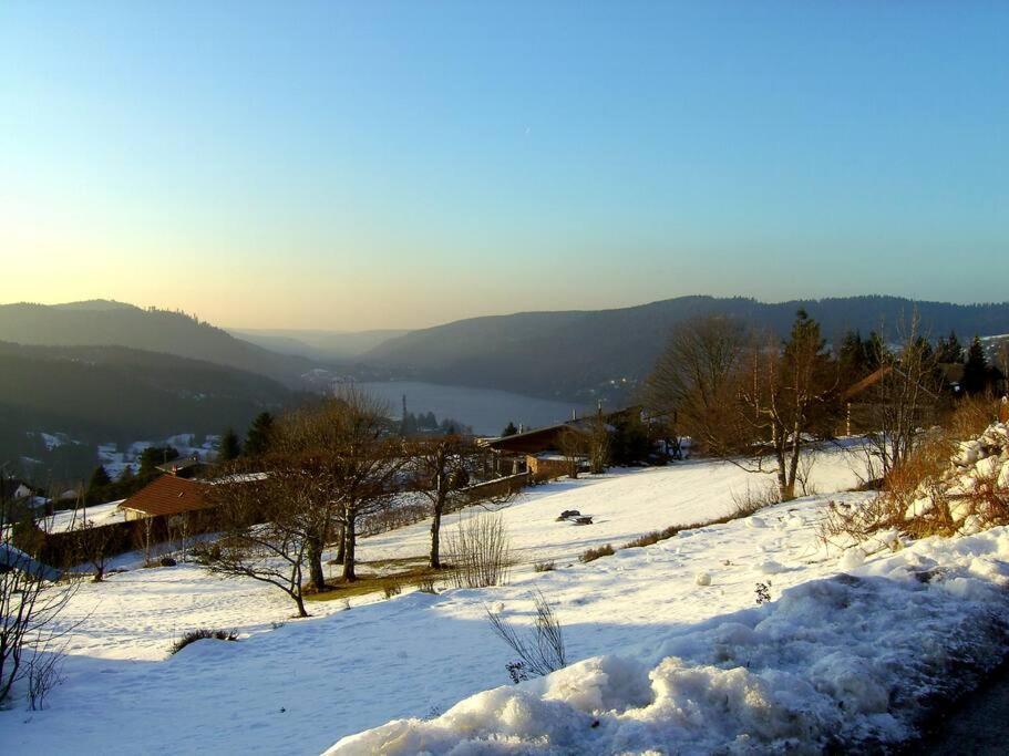Gerardmer Centre - Studio Au Pied Du Lac Grande Terrasse Exteriör bild